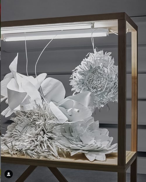 fleurs géantes en papier blanc dans une vitrine en chêne et verre